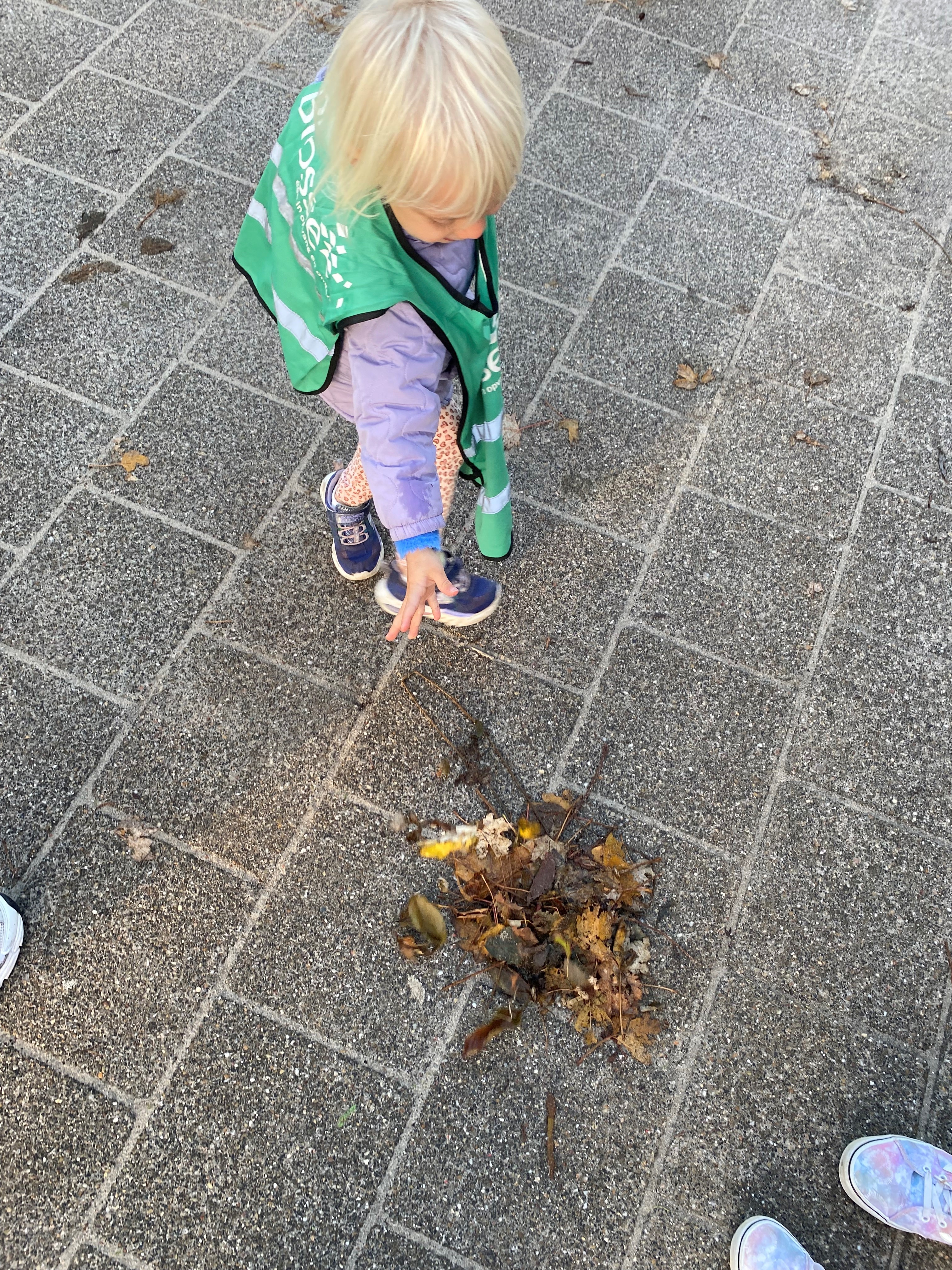 Deze week bij de opvang