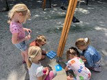 IMG_8202