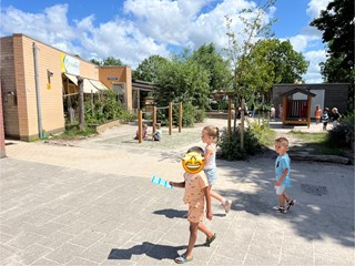 IMG_8192