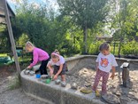 IMG_8337