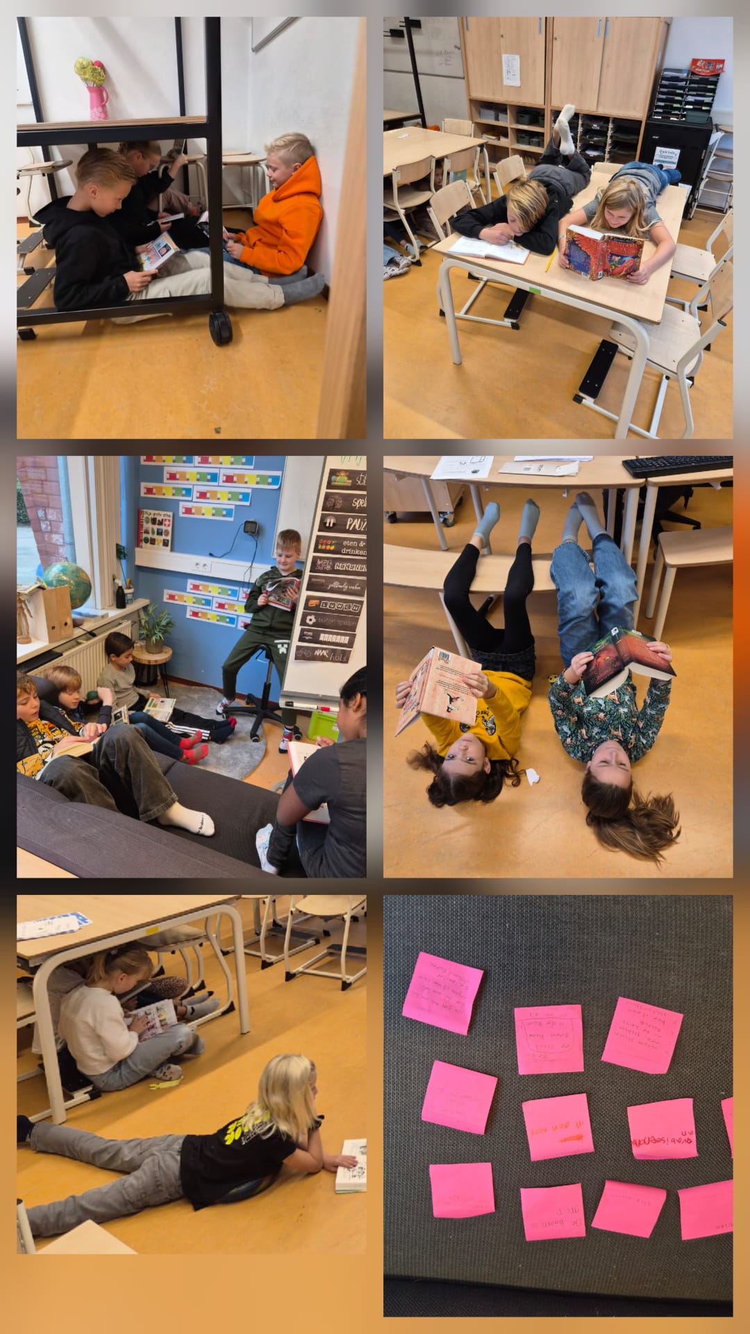 de week van groep 5/6