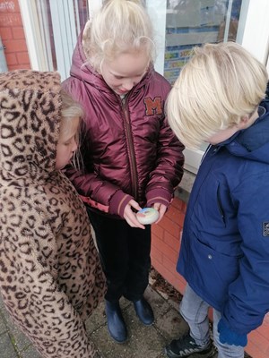 Afbeelding van WhatsApp op 2025-11-21 om 13.34.14_bb5c2615