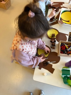 WhatsApp Image 2026-01-16 at 14.49.01 (1) (002)