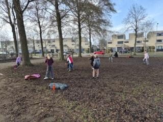 WhatsApp Image 2026-01-23 at 17.10.08jj