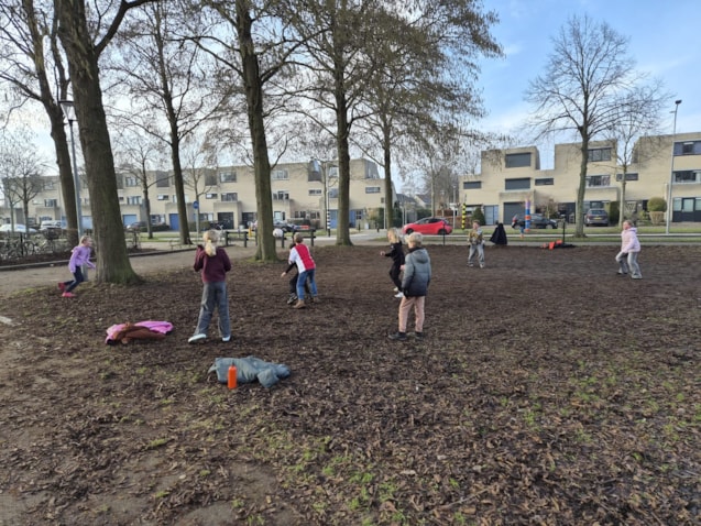 WhatsApp Image 2026-01-23 at 17.10.08jj