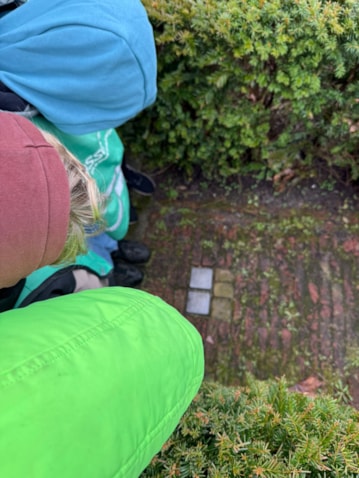 551a367d-1326-4329-88bd-121ddf3ad5e7