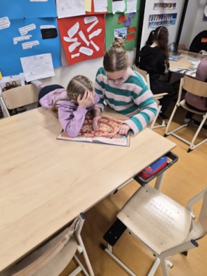 WhatsApp Image 2026-01-30 at 12.26.42