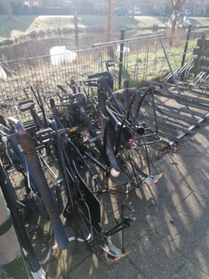 WhatsApp Image 2026-03-06 at 16.19.52