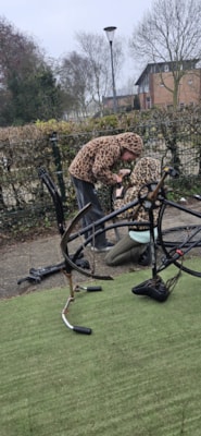 WhatsApp Image 2026-03-11 at 16.50.33