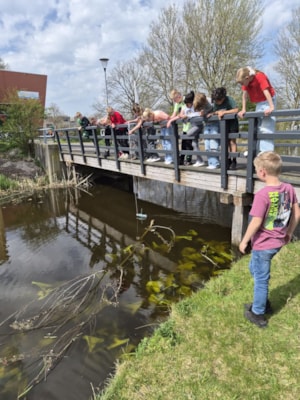 WhatsApp Image 2026-04-10 at 16.10.13 (2)