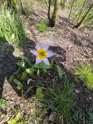 IMG20230417152344