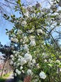 IMG20230417150619