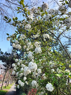 IMG20230417150619