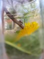 IMG20230417145630
