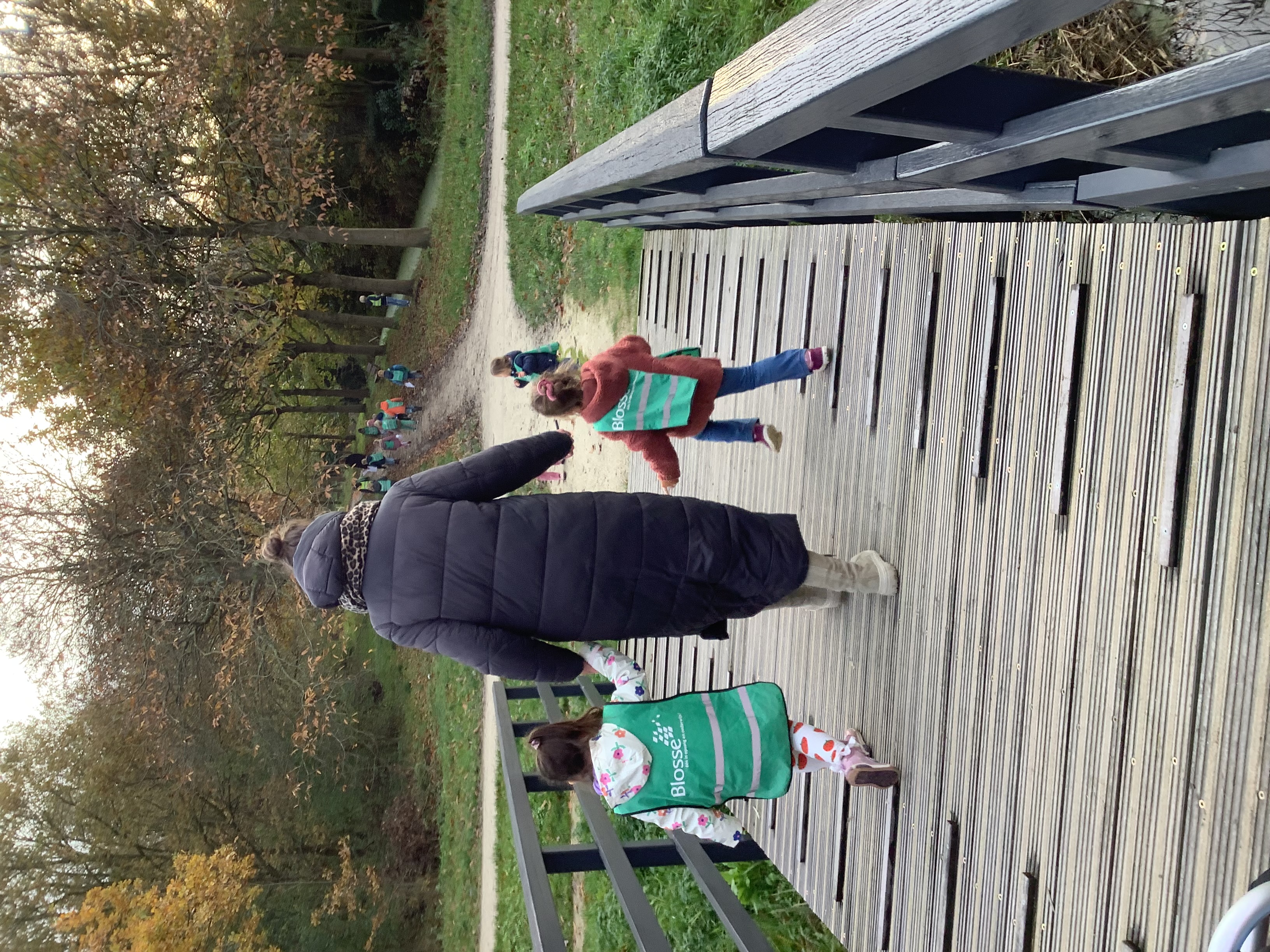 Op zoek naar de paddenstoel