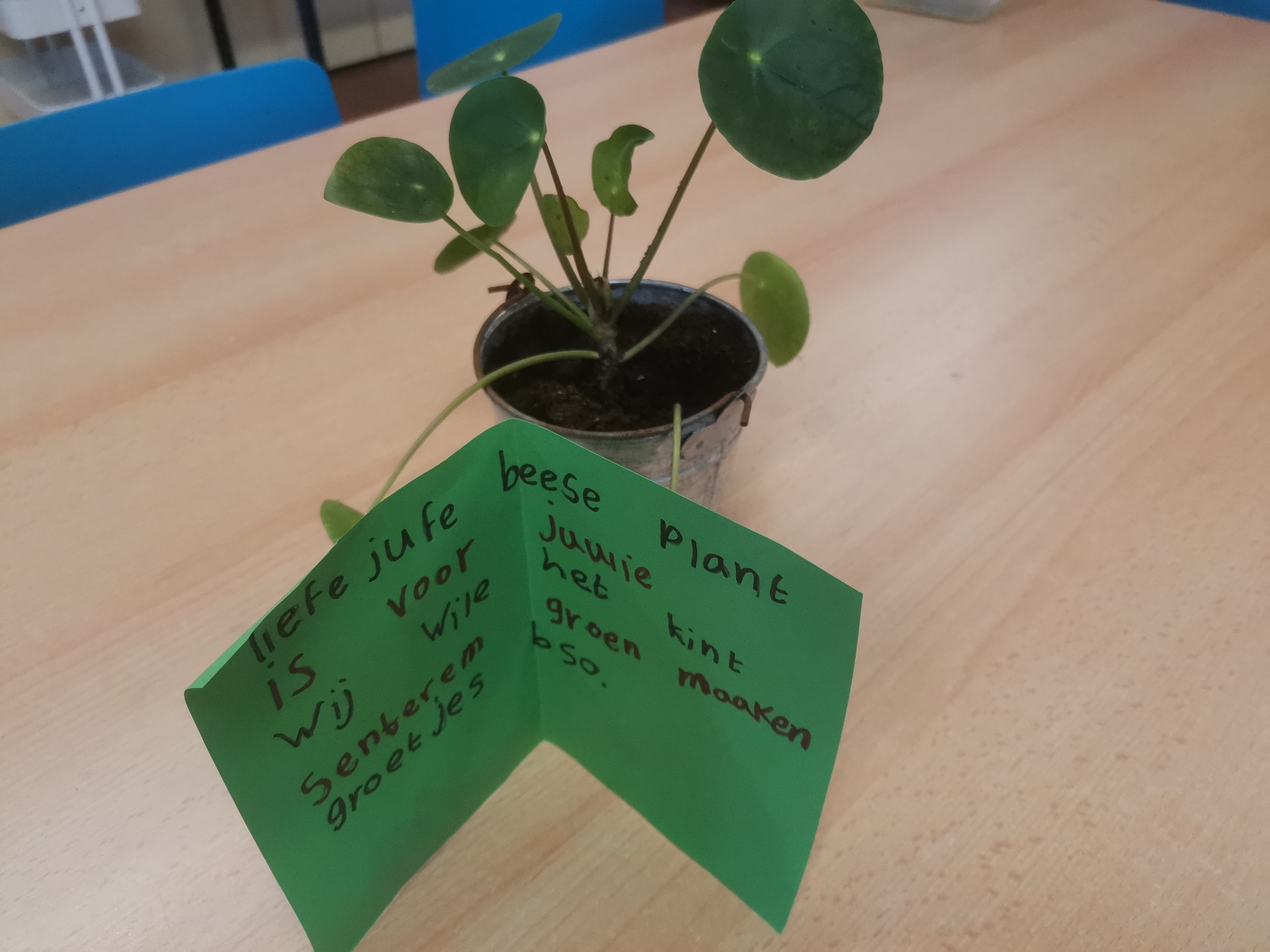 BSO maakt het Kindcentrum groen