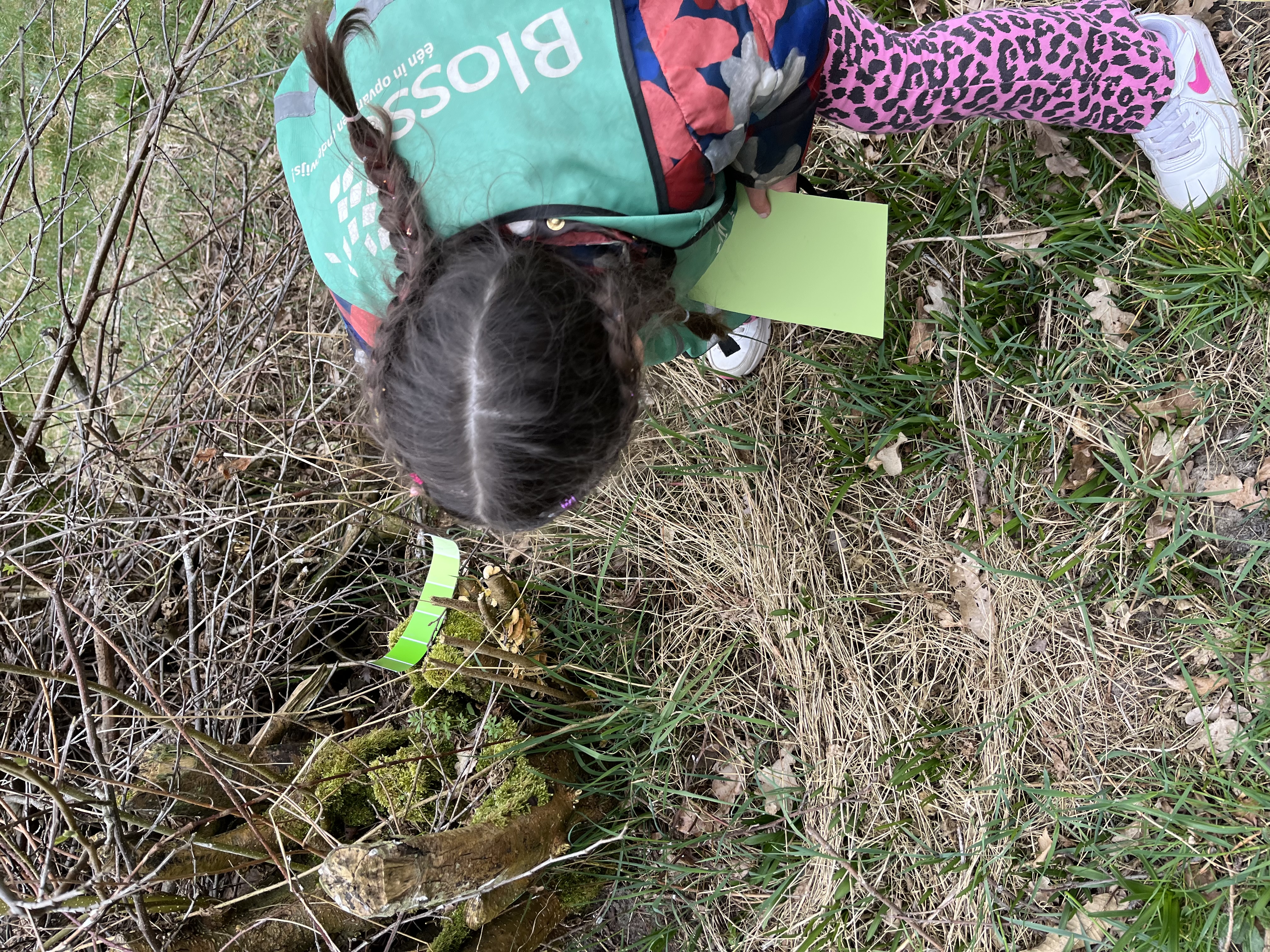 Picknick in het Oosterbos
