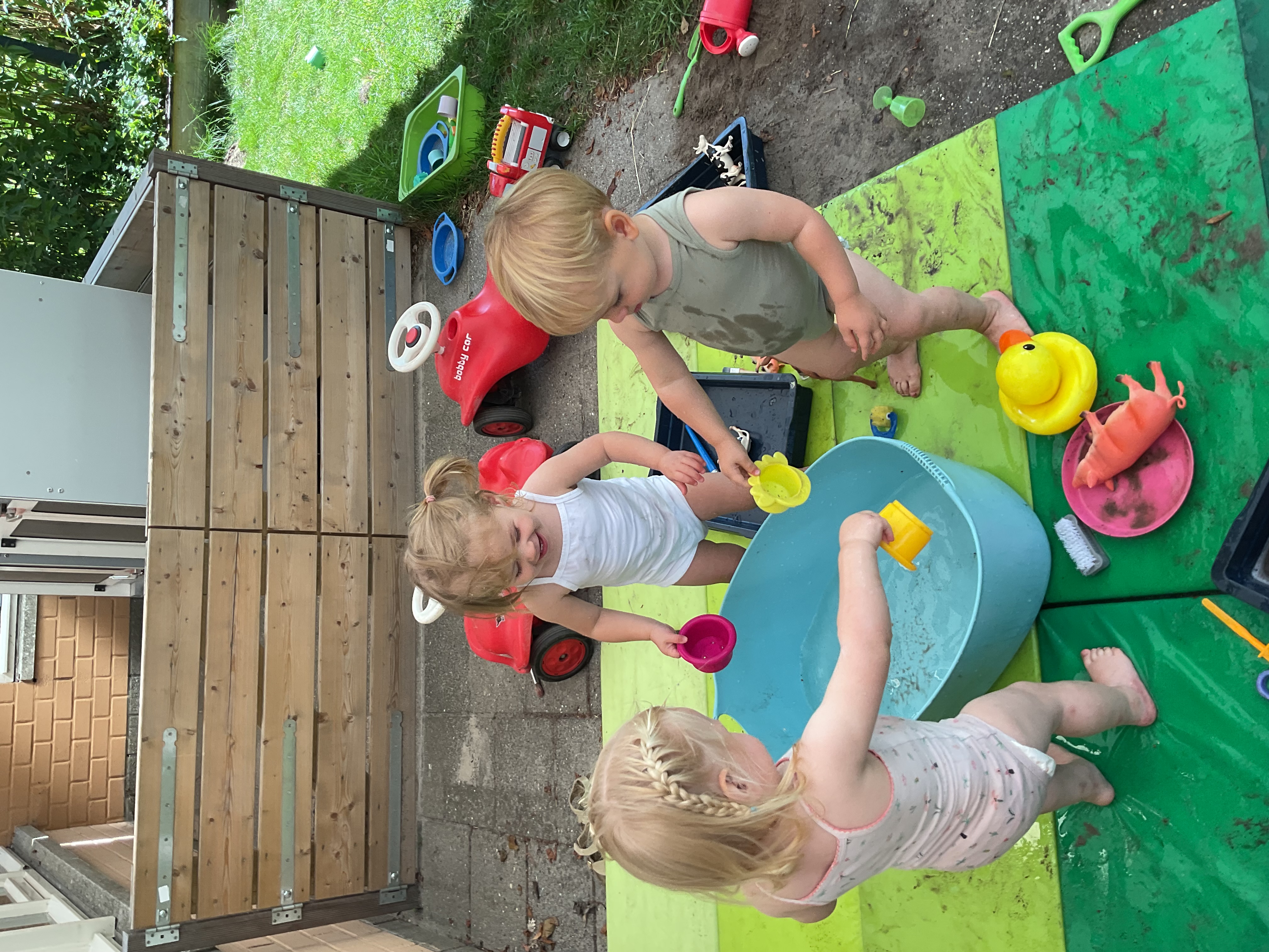 Deze week bij de baby’s 