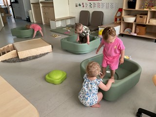 IMG_3901