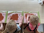 IMG_3927