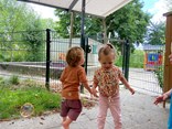 IMG_7451
