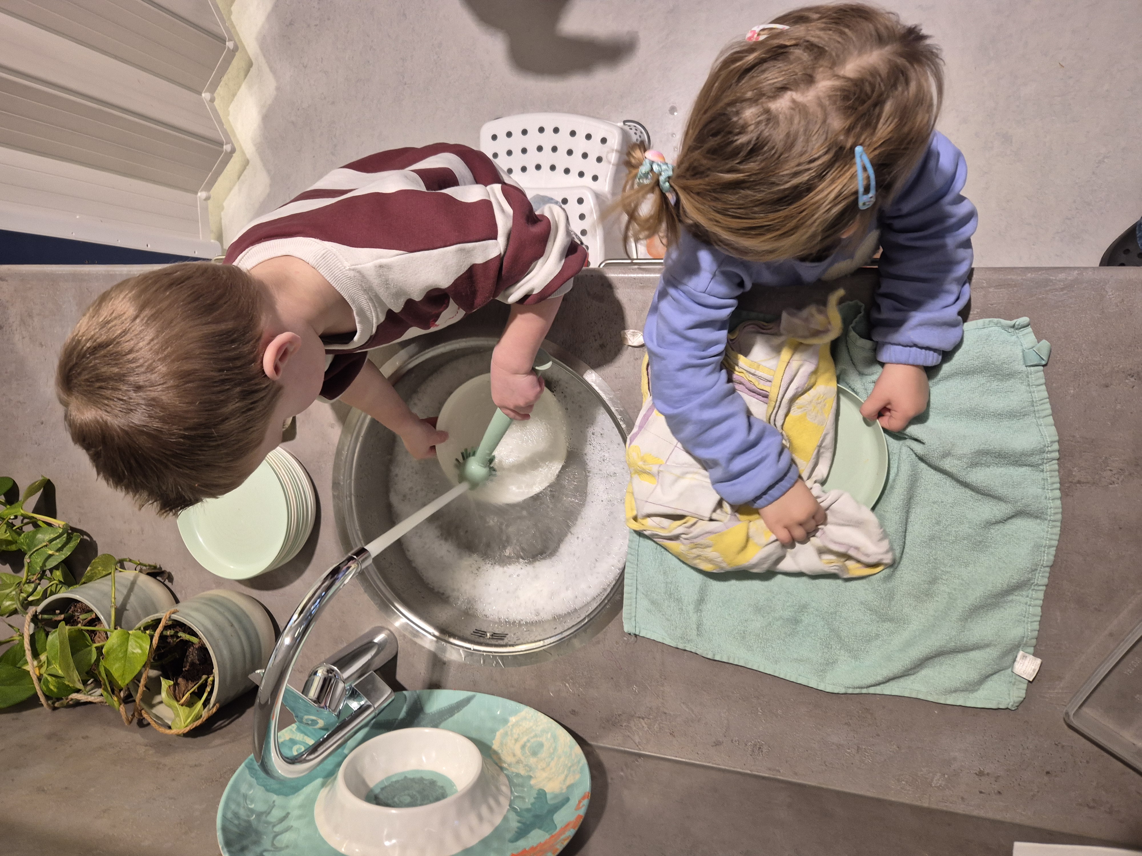 Deze week bij de peuters