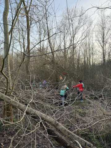 processed-3C668DF8-417A-42F8-A43F-ACEFD594E8B6 (1)