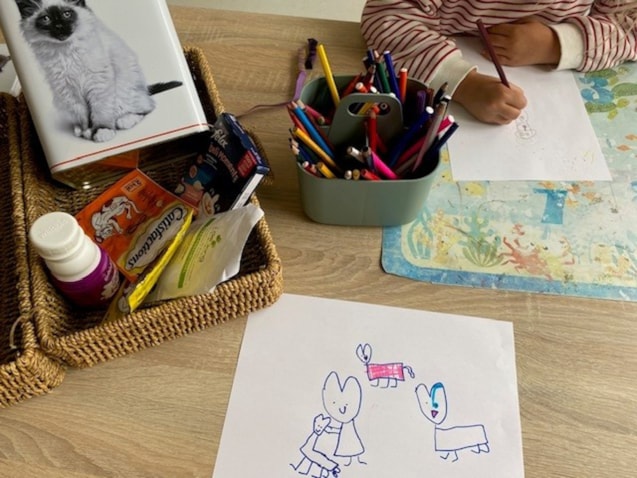 thema dierenarts