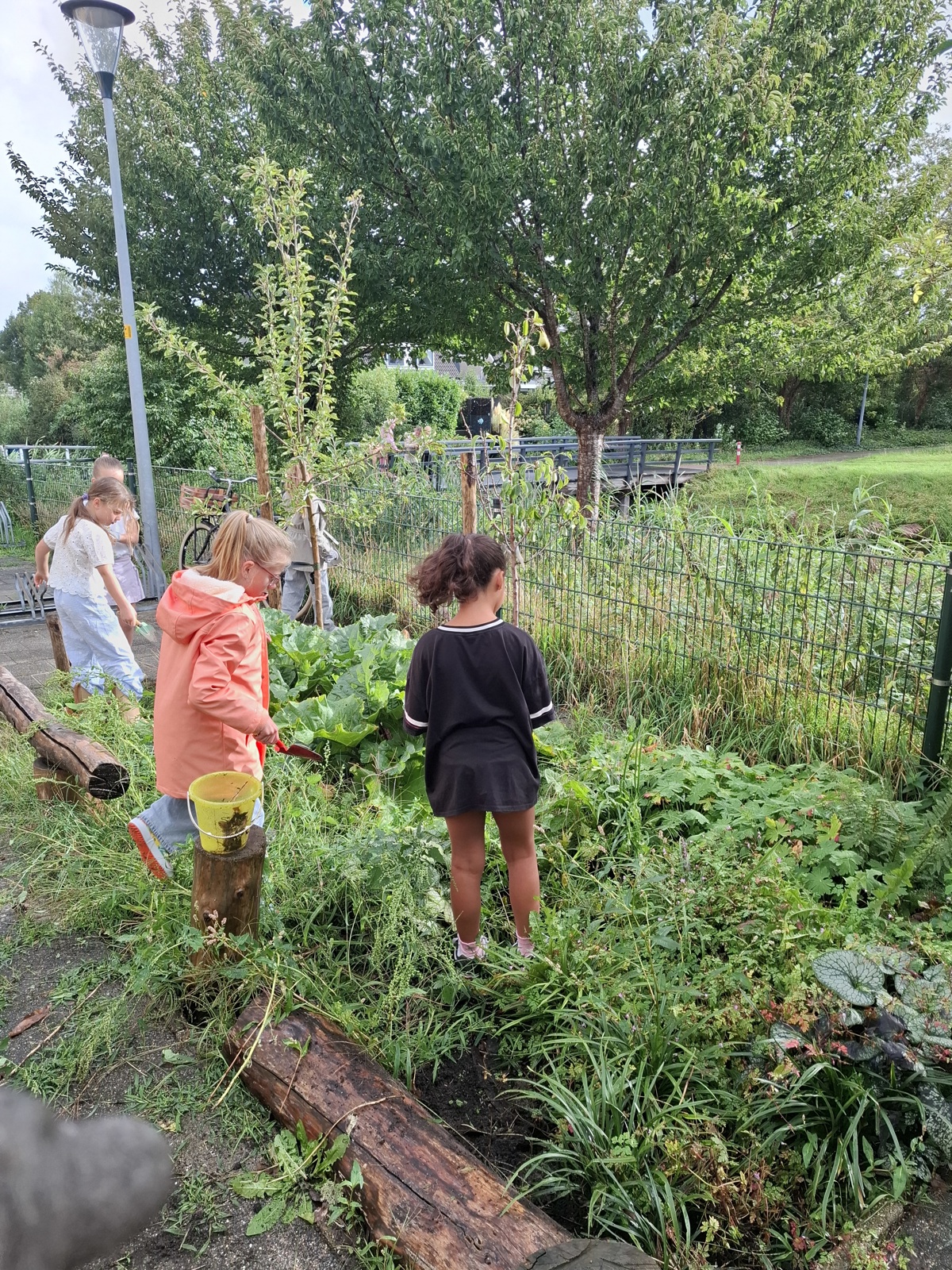 Werken in de moestuin