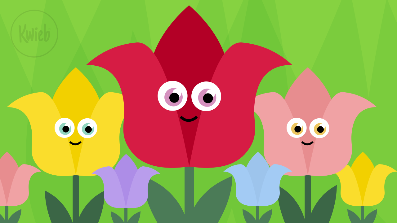 De week van groep 3-4